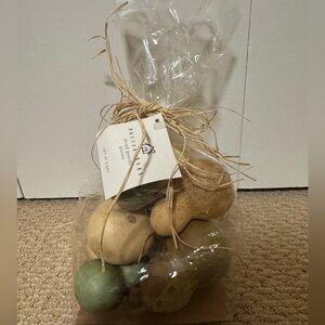 Pottery Barn Decorative Gourds - Assorted Green, Tan, and Cream - Home Accents